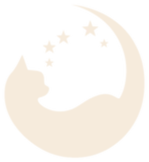 XUANYANG footer logo
